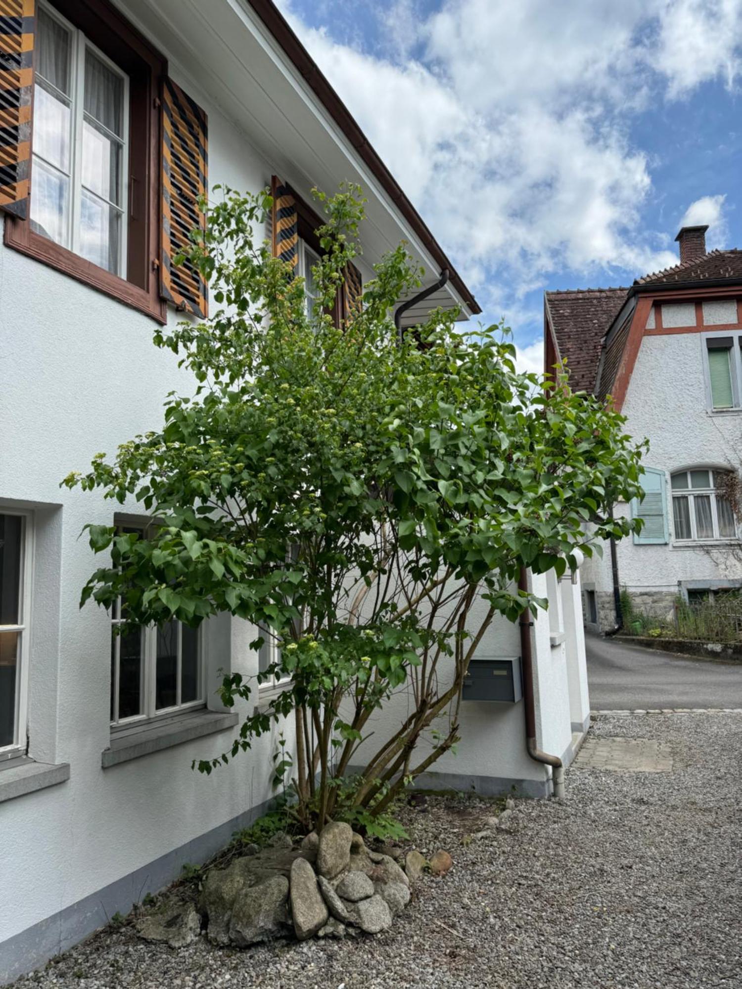 Garden House Villa Interlaken Eksteriør bilde